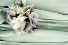Aquamarine Twill