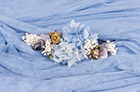 Blue Tulle