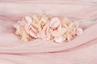Ivory Nude Tulle