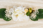 Tulle Ivory Dots