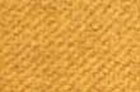 Mustard Velvet